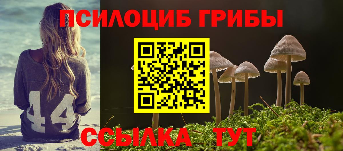 Галлюциногенные грибы Cubensis  закладки  Самара  Псилоцибиновые грибы мухоморы  Вход с VPN 