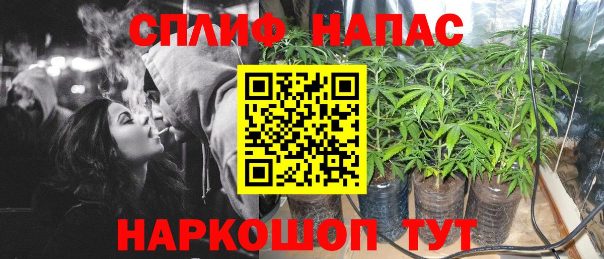 Конопля план  Шишки марихуана гибрид  Канабис MAZAR  Вход с VPN  Самара  МАРИХУАНА VHQ 